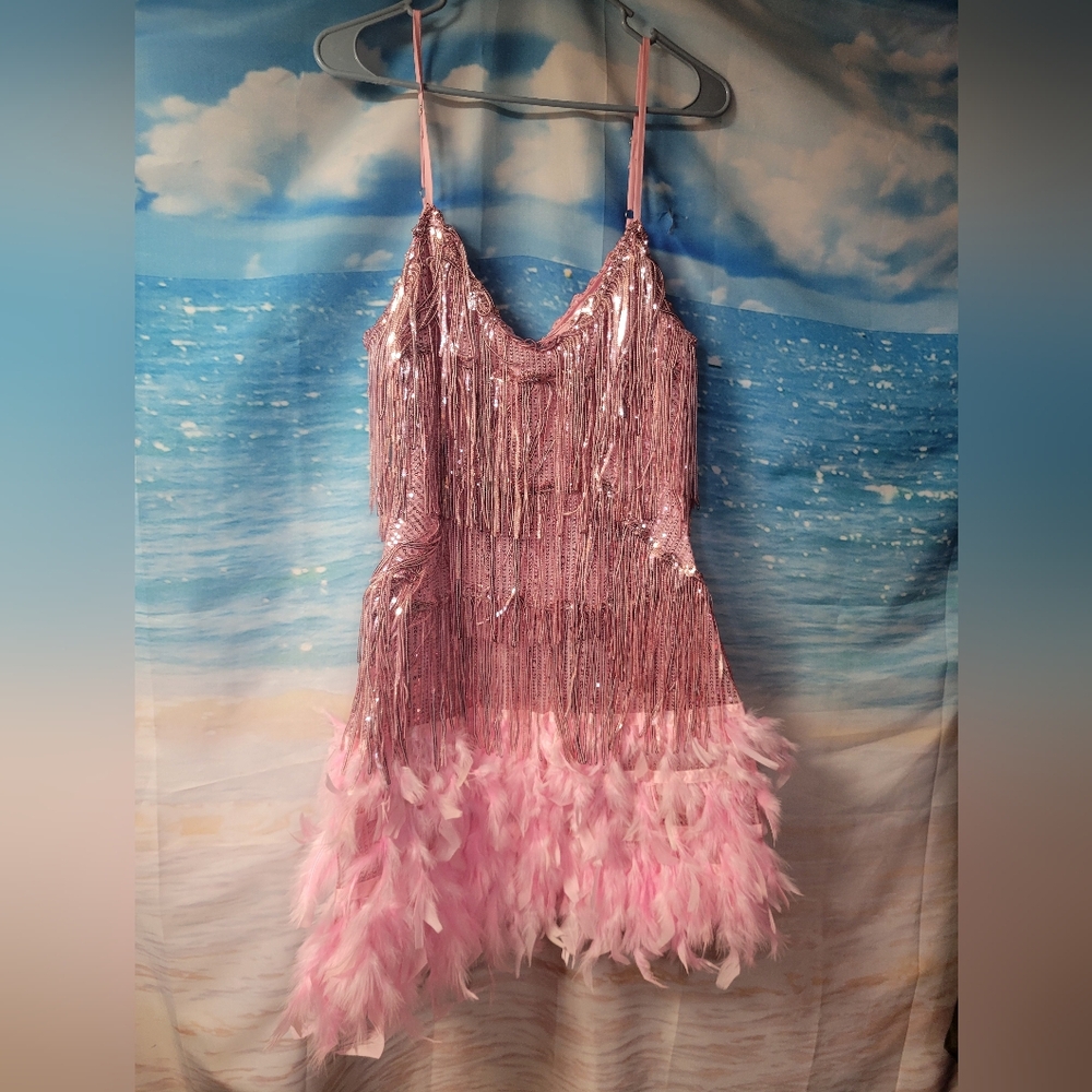 Lilliana NWOT Pink Spaghetti Strap dress Sequins Beaded Fringe & Feathers Size M